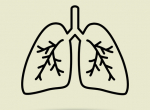 Respiratory 500v2